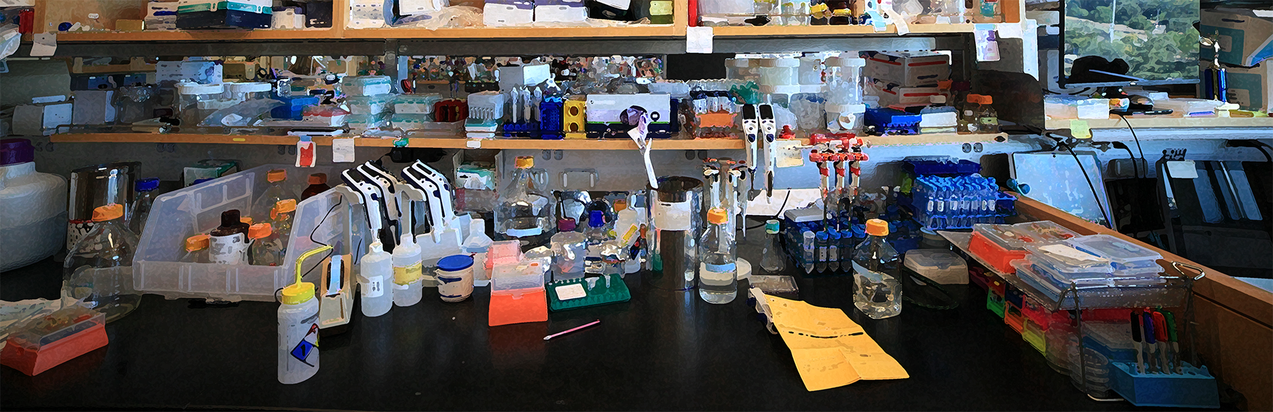 reagents and equipment