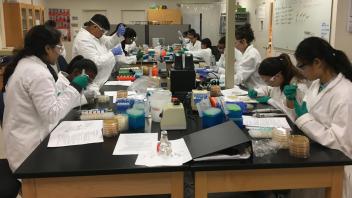 Students learning together